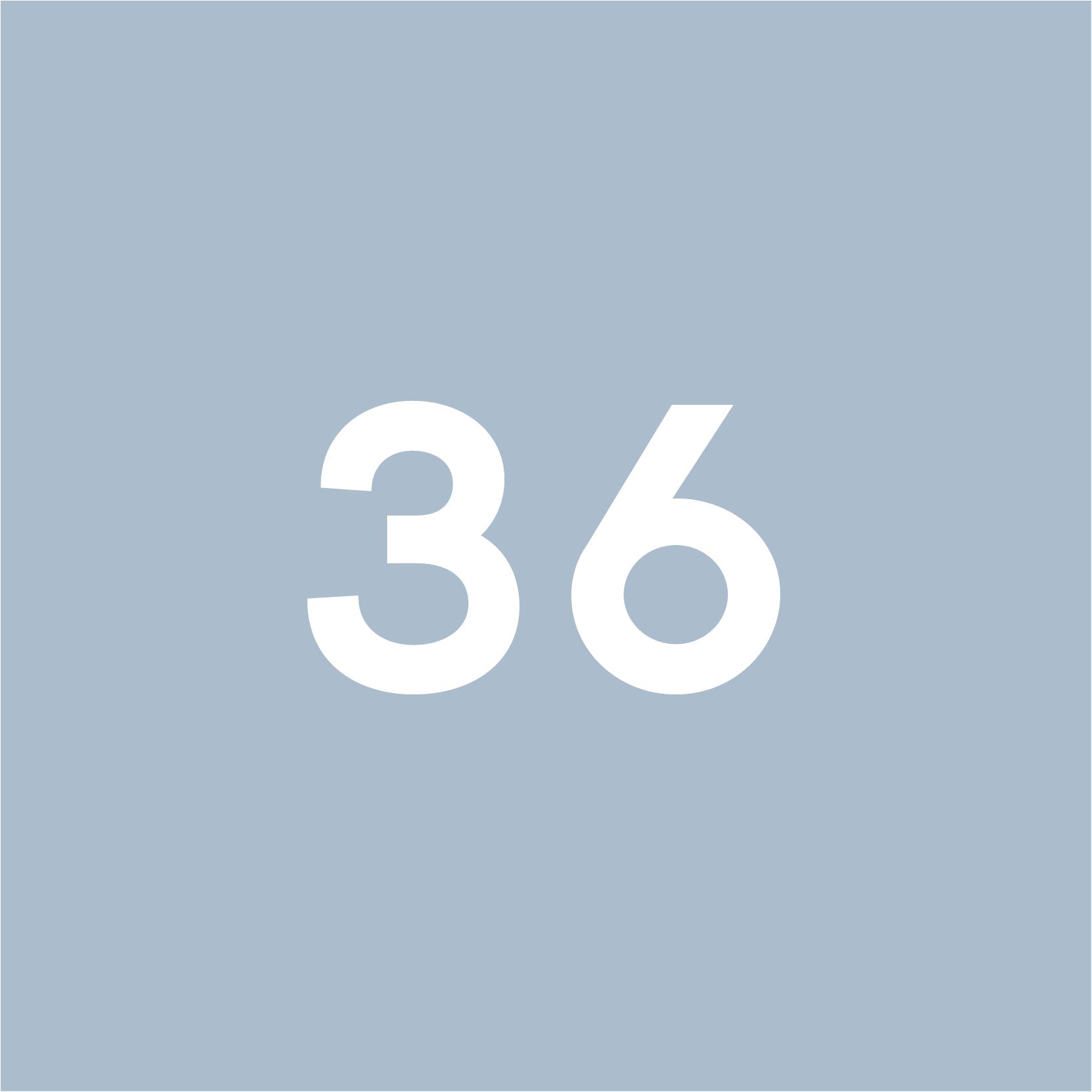 Size 36 - GRAY MATTERS