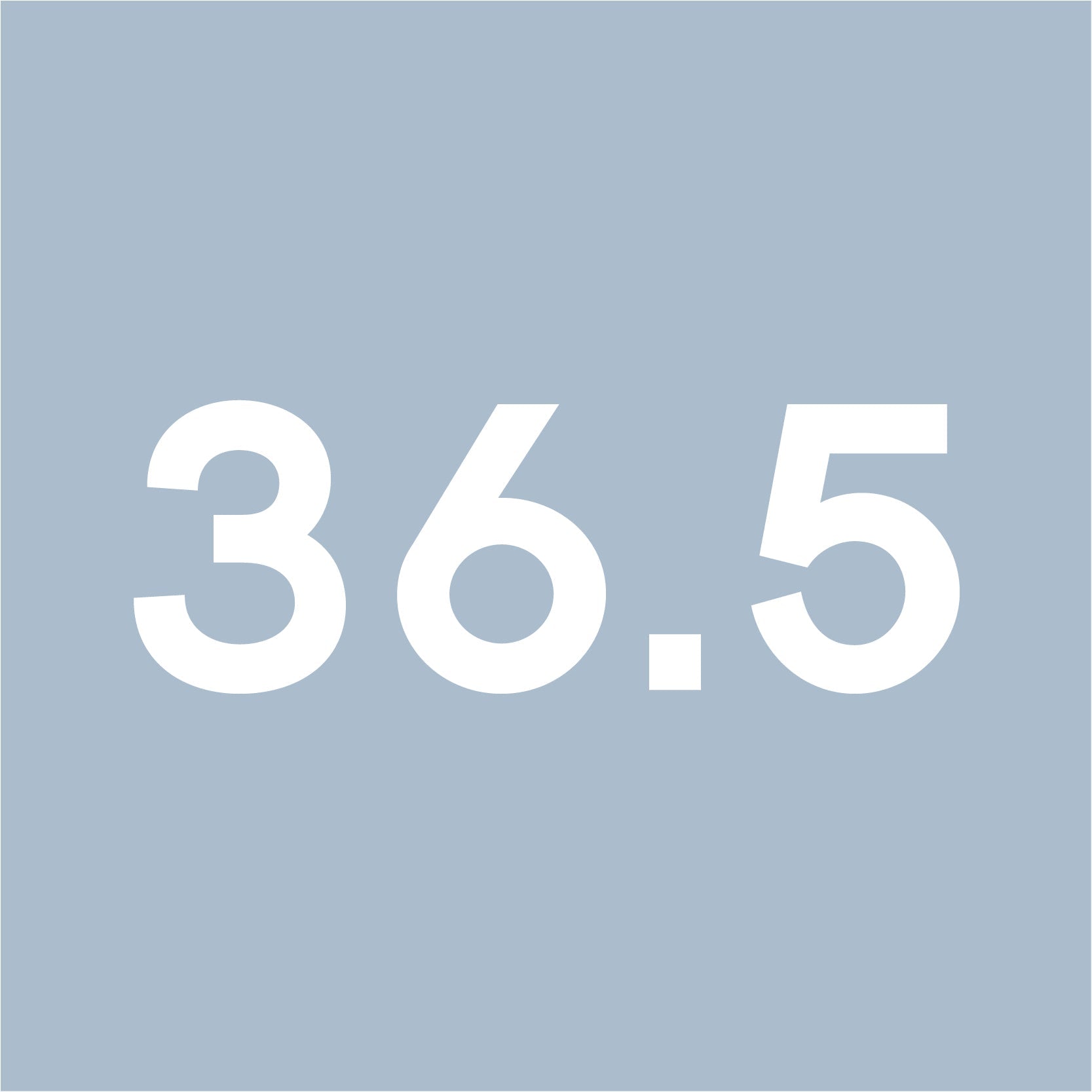 Size 36.5 - GRAY MATTERS