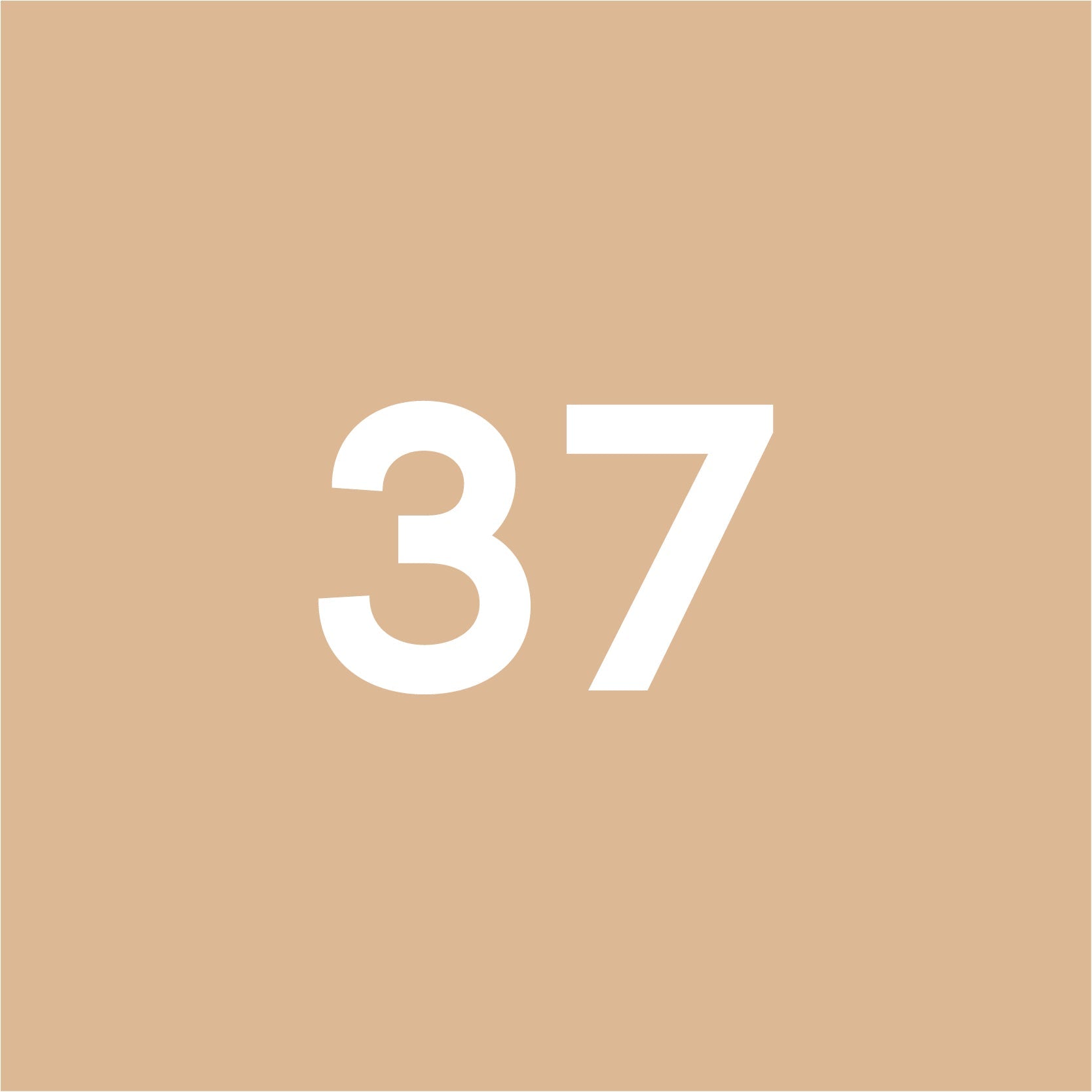 Size 37 - GRAY MATTERS
